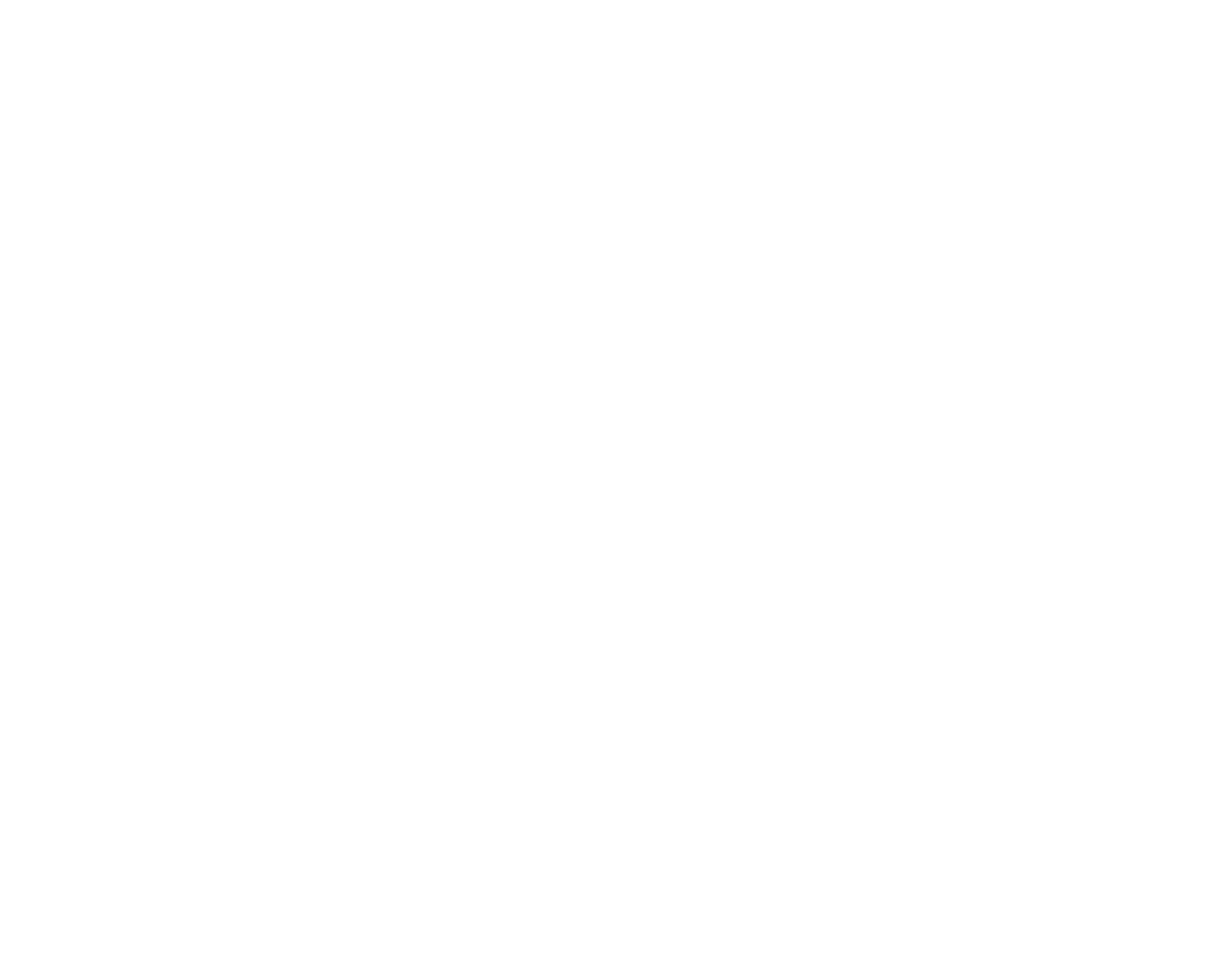 OYOFE logo